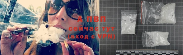 apvp Алексин